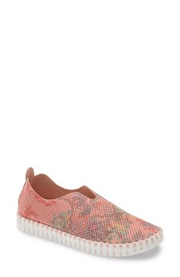 Ilse Jacobsen Tulip 139 Perforated Slip-On Sneaker in Coral Blush Fabric