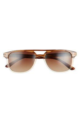 SALT. Ventura 57mm Polarized Sunglasses in White Oak/Brown Gradient
