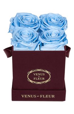 Venus ET Fleur Classic Le Petit Eternity Roses in Baby Blue