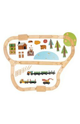 Tender Leaf Toys Wild Pines 30-Piece Train Set in Multi