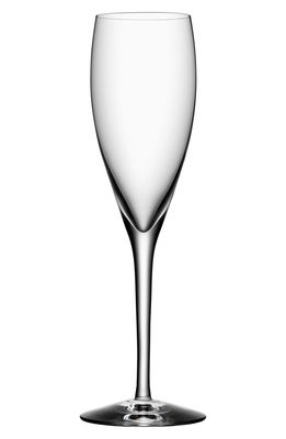 Orrefors More Set of 4 Champagne Flutes in White