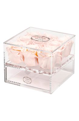 Venus ET Fleur Le Clair Neuf Eternity Roses in Blush