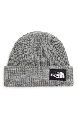 The North Face Salty Dog Beanie in Tnf Light Grey Heather