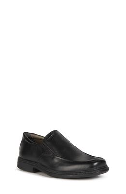 Geox Federico Loafer in Black