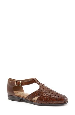 Trotters Leatha Open Weave Skimmer Flat in Brown Leather