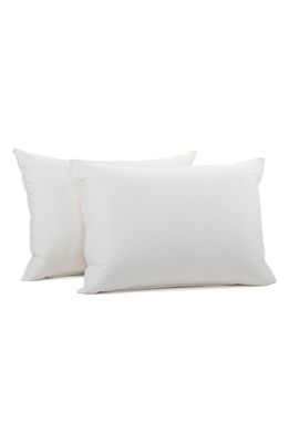 Coyuchi Down Pillow Insert in White