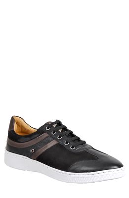 Sandro Moscoloni Toby Sneaker in Black