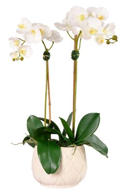 Bloomr Stella Orchid Planter Decoration in White Medium