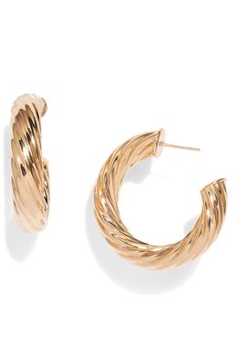 Bracha Milan Hoop Earrings in Gold