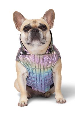 Canada Pooch Shiny Puffer Vest in Iridescent