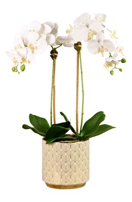 Bloomr Orchid Planter Decoration in White