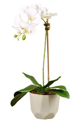 Bloomr Orchid Geometric Planter Decoration in White