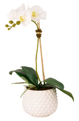 Bloomr Pearl Orchid Planter Decoration in White