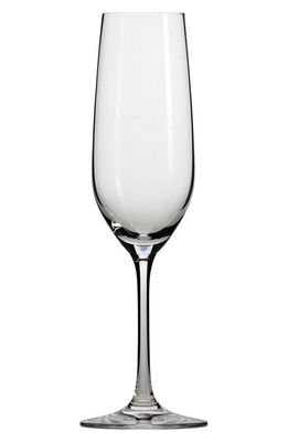 Schott Zwiesel Set of 6 Forte Champagne Flutes in Clear