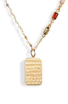 ela rae Best Friends Dog Tag Pendant Necklace in Multi/Gold