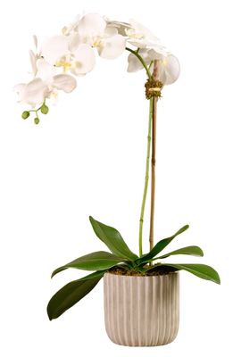 Bloomr Orchid Fluted Planter Decoration in White