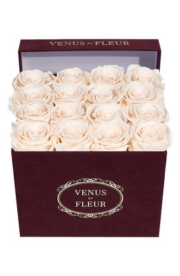 Venus ET Fleur Classic Small Square Eternity Roses in Blush