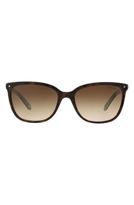 Tiffany & Co. 55mm Mirrored Square Sunglasses in Havana/Blue/Brown Gradient