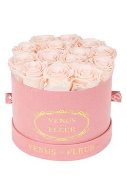 Venus ET Fleur Classic Small Round Eternity Roses in Blush