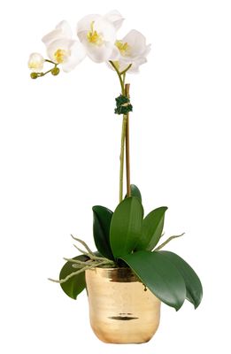 Bloomr Kingly Orchid Planter Decoration in Gold Small