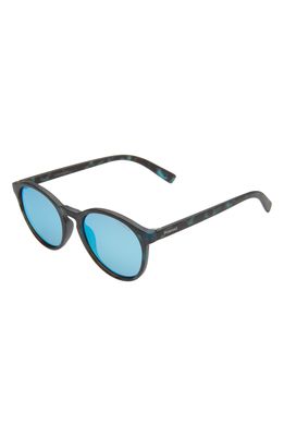 Polaroid 47mm Polarized Round Sunglasses in Blue Havana/Blue Mirror
