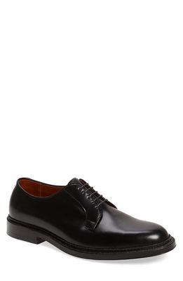 Alden Plain Toe Blucher Derby in Black Shell Cordovan