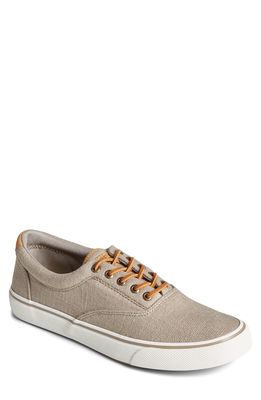 Sperry Striper II CVO Hemp Sneaker in Taupe