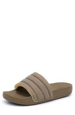 Brandblack Alix Kashiba Slide Sandal in Tan