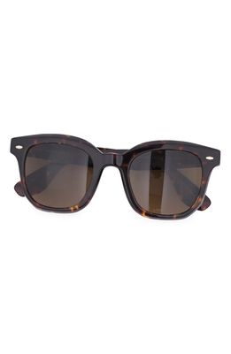 Brunello Cucinelli x Oliver Peoples Filu 50mm Polarized Sunglasses in Brown Tort