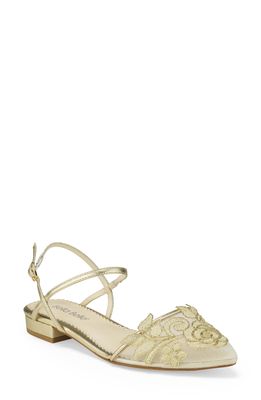 Bella Belle Shirley Embroidered Mesh Pointed Toe Flat in Ivory Mesh/Silk