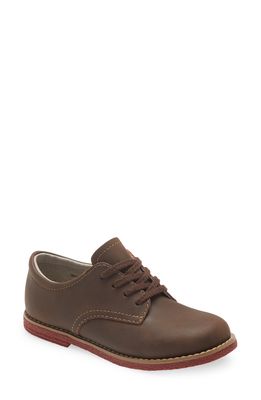 Footmates Willy Oxford in Brown Oiled