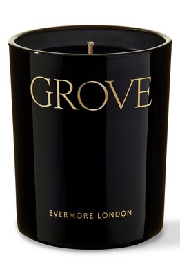 Evermore Grove Earth & Aged Pine Travel Candle
