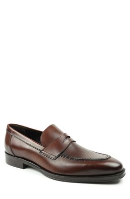 Bruno Magli Nathan Penny Loafer in Rust Calf