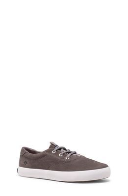 Sperry Spinnaker Jr. Washable Sneaker in Grey