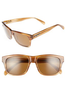 Brightside Wilshire 55mm Polarized Sunglasses in Cedar/Brown Polar