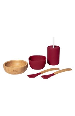 Avanchy La Petite Family Collections Baby Feeding Dish Set in Magenta