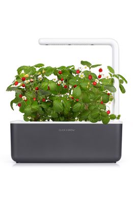 Click & Grow Smart Garden 3 Self Watering Indoor Garden in Grey