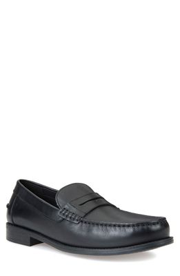 Geox New Damon 1 Slip-On Penny Loafer in Black Leather