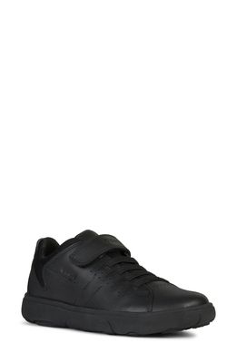 Geox Nebcup Sneaker in Black