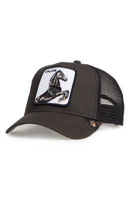 Goorin Bros. Stallion Trucker Hat in Black