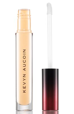 Kevyn Aucoin Beauty The Etherealist Super Natural Concealer in Light Ec 01