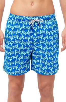 Tom & Teddy Turtle Print Swim Trunks in Blue And Ice Green