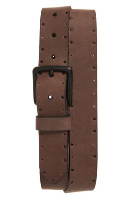 AllSaints Perforated & Studded Leather Belt in Brown