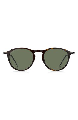 BOSS 50mm Round Sunglasses in Havana /Green