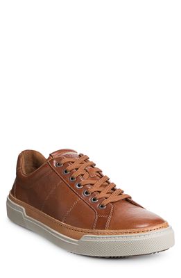 Allen Edmonds Porter City Sneaker in Walnut Leather