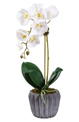 Bloomr Modern Orchid Planter Decoration in White