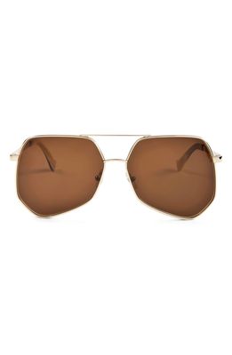 Grey Ant Megalast 59mm Aviator Sunglasses in Gold/Brown