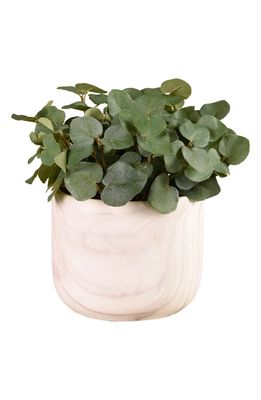 Bloomr Potted Eucalyptus Planter Decoration in Green