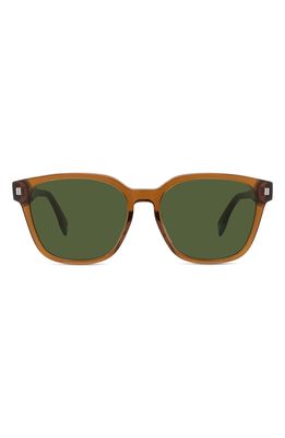 Fendi 55mm Square Sunglasses in Light Brown/Other /Green