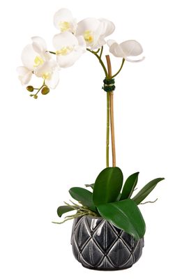 Bloomr Stella Orchid Planter Decoration in Grey